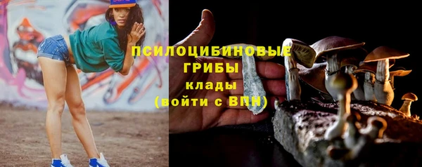 ALPHA-PVP Горнозаводск