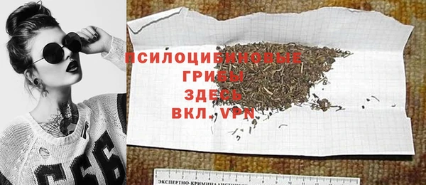 спайс Горняк
