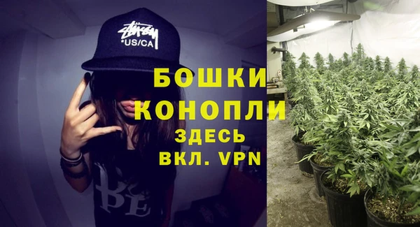 ALPHA-PVP Горнозаводск