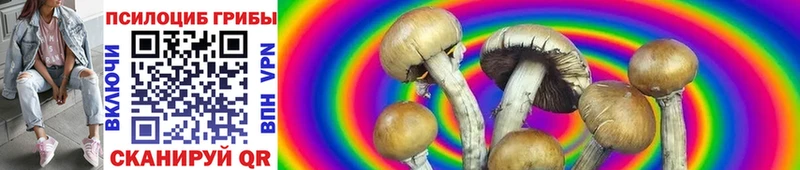 Галлюциногенные грибы Psilocybe  Петухово 